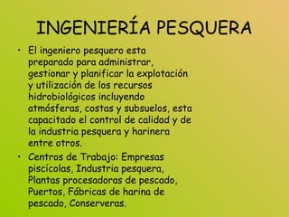 INGENIERÍA PESQUERA
• El ingeniero pesquero esta
preparado para administrar,
gestionar y planificar la explotación
y utilización de los recursos
hidrobiológicos incluyendo
atmósferas, costas y subsuelos, esta
capacitado el control de calidad y de
la industria pesquera y harinera
entre otros.
• Centros de Trabajo: Empresas
piscícolas, Industria pesquera,
Plantas procesadoras de pescado,
Puertos, Fábricas de harina de
pescado, Conserveras.
 