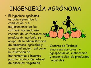 INGENIERÍA AGRÓNOMA
• El ingeniero agrónomo
estudia y planifica la
conducción y el
mejoramiento de los
cultivos haciendo uso
racional de los factores de
producción agrícola, se
ocupa de la administración
de empresas agrícolas y
comercialización, así como
la utilización de
instrumentos e insumos
para la producción natural
de especies vegetales.
• Centros de Trabajo:
empresas agrícolas y
agropecuarios, elaboración
y exportación de productos
vegetales
 