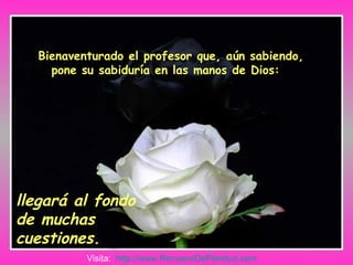 Bienaventurado el profesor que, aún sabiendo, pone su sabiduría en las manos de Dios:  llegará al fondo de muchas cuestiones. Visita:  http://www.RenuevoDePlenitud.com 