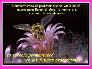 Bienaventurado el profesor que se vacía de sí
mismo para llenar el alma, la mente y el
corazón de sus alumnos:
su esencia permanecerá
en las futuras generaciones.
 