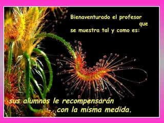 Bienaventurado el profesor
que
se muestra tal y como es:
sus alumnos le recompensarán
con la misma medida.
 