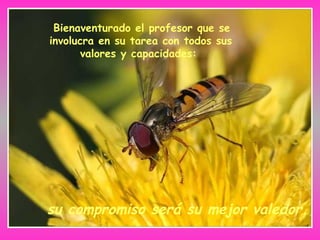 Bienaventurado el profesor que se
involucra en su tarea con todos sus
valores y capacidades:
su compromiso será su mejor valedor.
 