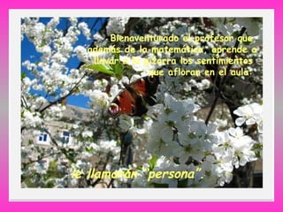 Bienaventurado el profesor que,
además de la matemática, aprende a
llevar a la pizarra los sentimientos
que afloran en el aula:
le llamarán “persona”.
 