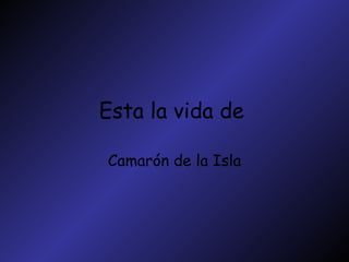 Esta la vida de   Camarón de la Isla 