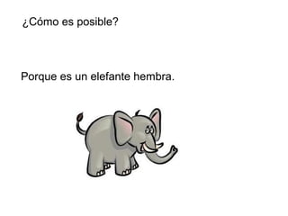 ¿Cómo es posible?



Porque es un elefante hembra.
 