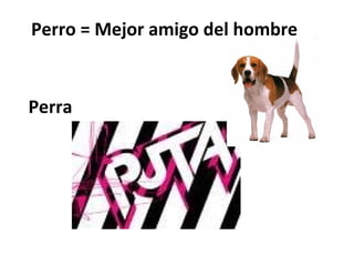 Perro = Mejor amigo del hombre


Perra
 
