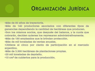 Hay contaminación electromagnética que generan las torres.