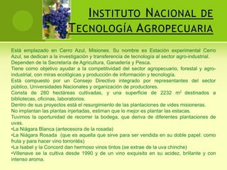 Secadero: lleva a 120°C por tres horas.Luego se lleva a bolsas con capacidad para 35kg y se las deja estacionar (de doce a treinta y seis meses) después se hace la molienda a casi sin polvo; ahora viene la etapa del empaquetado a través de las envasadoras