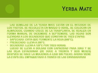 Influencias en el AmbienteEl agua está en constante circulación, para que sea pura; es difícil de comprobar su contaminación pero, si el río está contaminado, también lo está el acuífero.