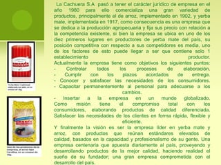 Yerba MateLas semillas de la yerba mate están en el interior de los frutos, se recolecta en marzo o abril, se colocan en almácigos, cuando crece se la trasplanta, se realiza en forma manual de diciembre a septiembre. Las hojas son llevadas a los secaderos que constan de tres etapas: Sapecado: evita que fermente la hoja (600°C).