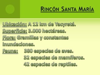 Introducción:Dentro de nuestro itinerario recorrimos la empresa binacional Yacyretá, ubicada en Ituzaingó, Corrientes, Las Marías S.A. (Gobernador Virasoro, Corrientes), Playadito (Gobernador Virasoro, Corrientes), Amanda (Apóstoles, Misiones) y el Instituto Nacional de Tecnología Agropecuaria (INTA) que se encuentra en Cerro Azul, Misiones.Deseamos transmitirle la hermosa experiencia que tuvimos al recorrer este circuito y se conozca a éstas empresas que hacen reconocida e importante a nuestra provincia.El primer lugar que visitamos fue la represa binacional Yacyretá, está ubicada en la ciudad de Ituzaingó a 220 km de la ciudad de Corrientes Capital. De allí fuimos a Virasoro, a Colonia Liebig, al establecimiento Las Marías, La Cachuera en Apóstoles y por último a la Bodega Escuela INTA, en Cerro Azul, Misiones.