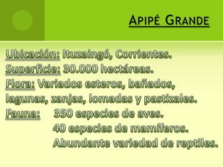 Empresa YacyretáImagen que representa la represa.