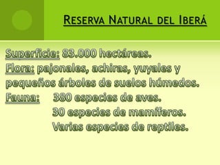 Yacyretá“Tierra de Luna”Entidad binacionalArgentinaParaguay120.000 hectáreasRincón Santa MaríaApipé GrandeReserva Natural del Iberá