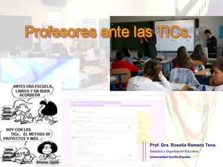 Prof. Dra. Rosalía Romero Tena. Didáctica y Organización Educativa Universidad Sevilla-España 
