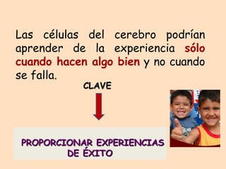 Las células del cerebro podrían
aprender de la experiencia sólo
cuando hacen algo bien y no cuando
se falla.
PROPORCIONAR EXPERIENCIAS
DE ÉXITO
CLAVE
 