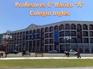 Profesores 6° Básico “A” Colegio Inglés 