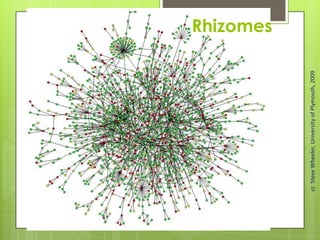 Rhizomes
ccSteveWheeler,UniversityofPlymouth,2009
 