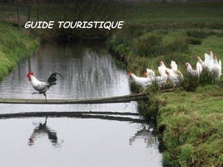 GUIDE TOURISTIQUE 