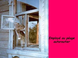 Employé au péage autoroutier 