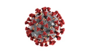 professional-ethics-jurisprudence-and-cultural-sensitivity.pdf