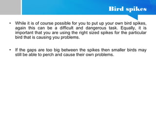 Bird spikes
• While it is of course possible for you to put up your own bird spikes,
again this can be a difficult and dangerous task. Equally, it is
important that you are using the right sized spikes for the particular
bird that is causing you problems.
• If the gaps are too big between the spikes then smaller birds may
still be able to perch and cause their own problems.
 