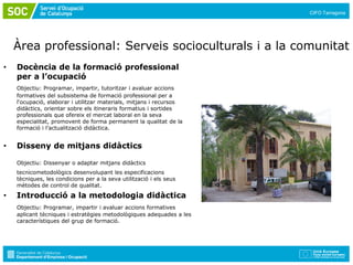 Professional Point 2012_CIFO Tarragona.pdf