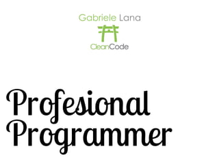 Gabriele Lana 
Professional 
Programmer 
 