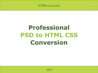 2011 Professional PSD to HTML CSS Conversion HTMLcut.com 