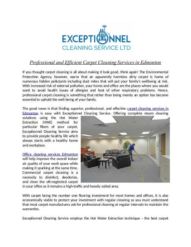 people looking for cleaning services