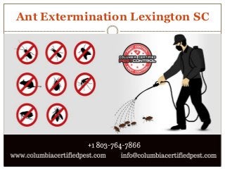 Ant Extermination Lexington SC
 