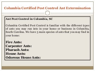 Columbia Certified Pest Control Ant Extermination
Ant Pest Control in Columbia, SC
Columbia Certified Pest Control is familiar with the different types
of ants you may run into in your home or business in Columbia,
South Carolina. We have 5 main species of ants that you may find in
your home:
Fire Ants:
Carpenter Ants:
Pharaoh Ants:
House Ants:
Odorous House Ants:
 