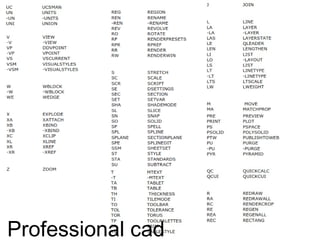 Professional Autocad | PPT