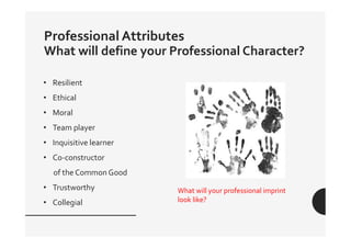 Professional Character Examples Professional Behaviour | PDF