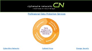 CipherWire Networks
Professional Data Protection Services
Safenet Prices Storage Security
 