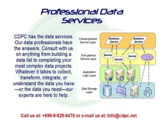 Professional Data Services
