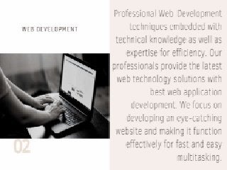 Professional Design & Web Development company.
