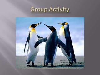 Group Activity<br />