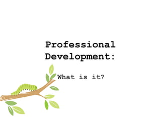 Professional Development: What is it? 