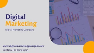 www.digitalmarketinggauriganj.com
Digital
Marketing
Digital Marketing Gauriganj
Call Now +91-9643256545
 
