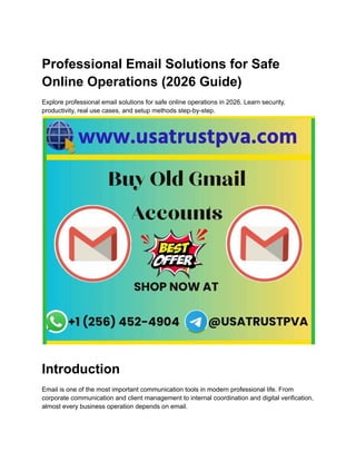 Ops Email Professional Email Solutions for Safe Online Operations.pdf