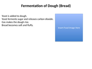 Professional_Fermentation_of_Food_Materials.pptx