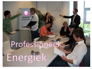 ProfessioneelEnergiek
