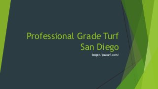 Professional Grade Turf
San Diego
http://justurf.com/
 
