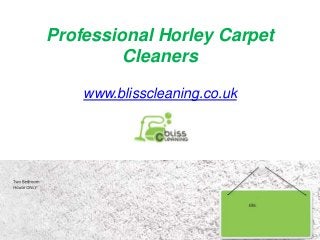 Professional Horley Carpet
Cleaners
www.blisscleaning.co.uk
 