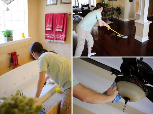 professional house cleaner