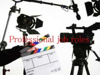 Professional job roles
 