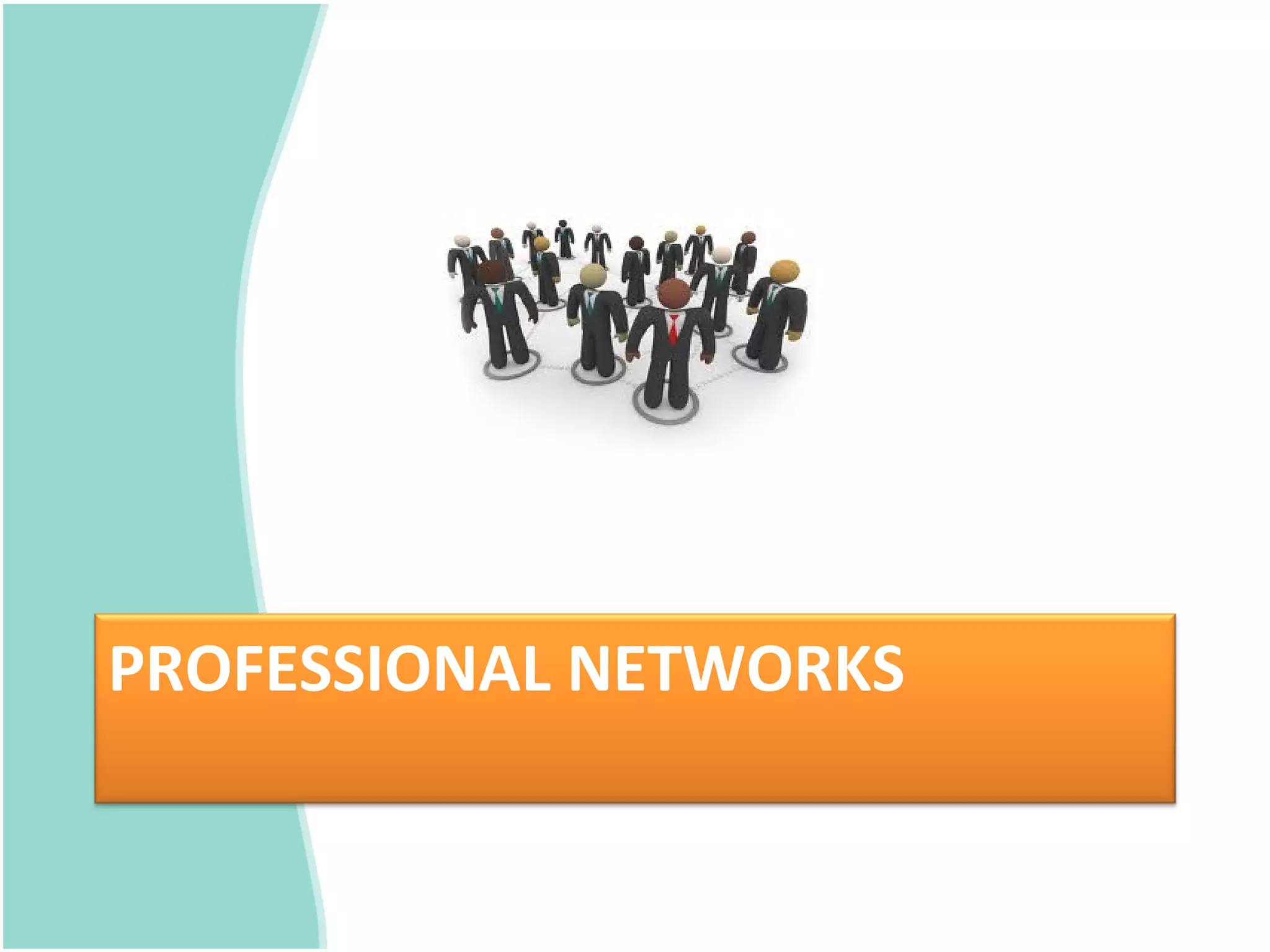 PROFESSIONAL NETWORKS
 
