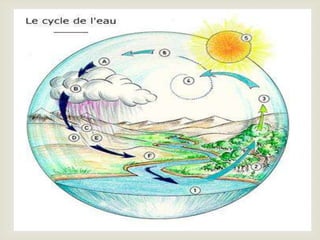 Professional learning networks diagrams