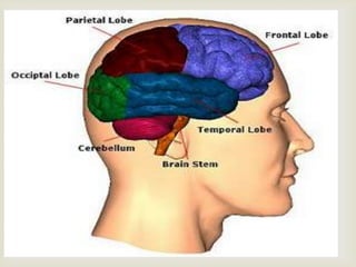 Professional learning networks diagrams