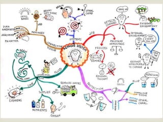 Professional learning networks diagrams
